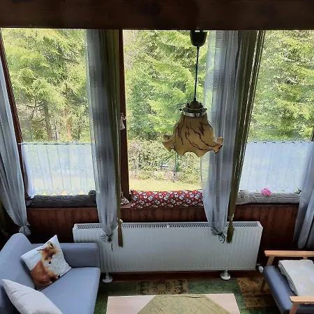 Agnes Holiday home Semmering